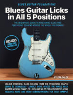 Blues Guitar Licks <br>in All 5 Positions